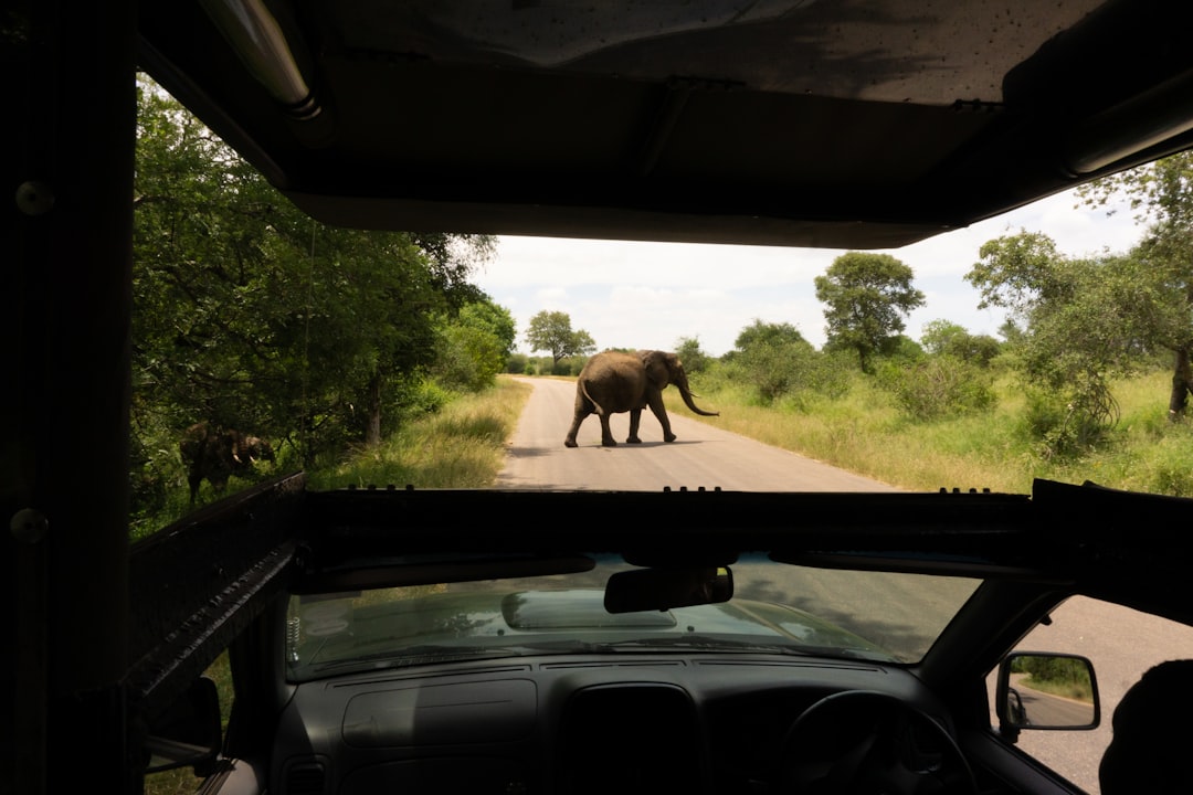 Discover Biodiversity at Kruger’s Malelane Gate - R570 | Secret World Trip Planner
