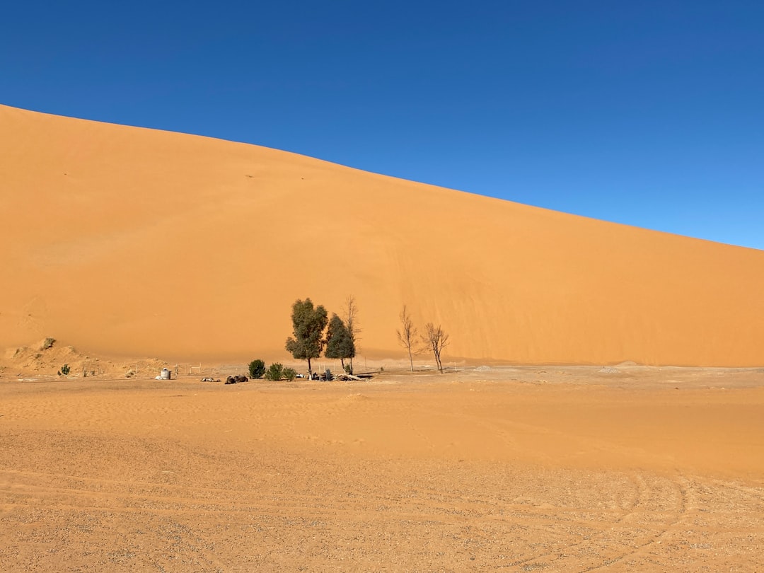 Dune 45 Sossusvlei : La Magie du Désert Namibien - Dune 45 Sossusvlei | Secret World Trip Planner