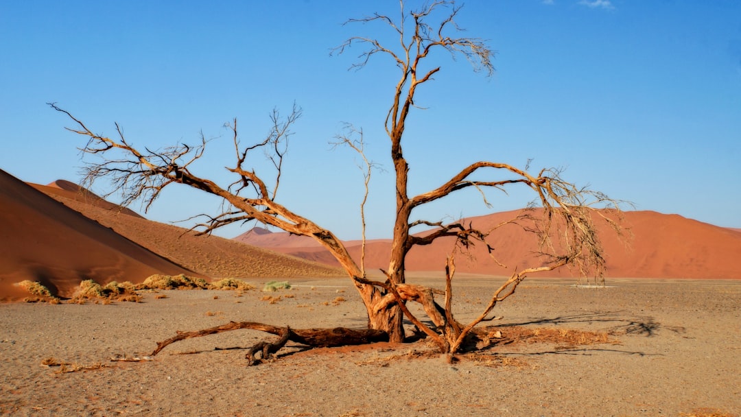 듄 45 소수스플레이: 나미비아 사막의 마법 - Dune 45 Sossusvlei | Secret World Trip Planner