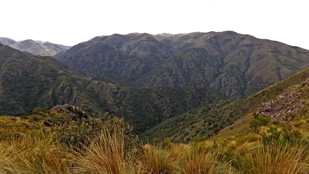 Sotto il Cielo Stellato della Sierra de San Pedro Mártir — Carretera Diaz Ordaz al Observatorio Km 84