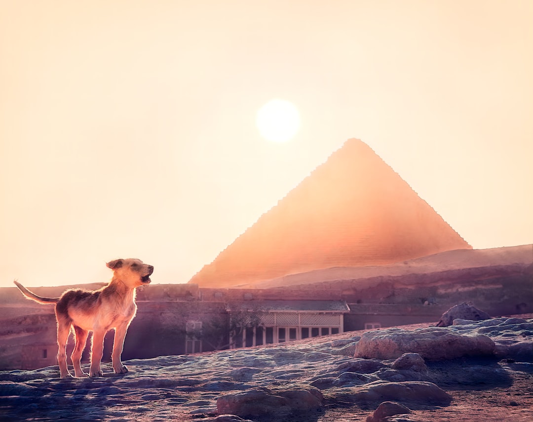 Discover Utopia: A Natural Haven in Egypt | Secret World Trip Planner