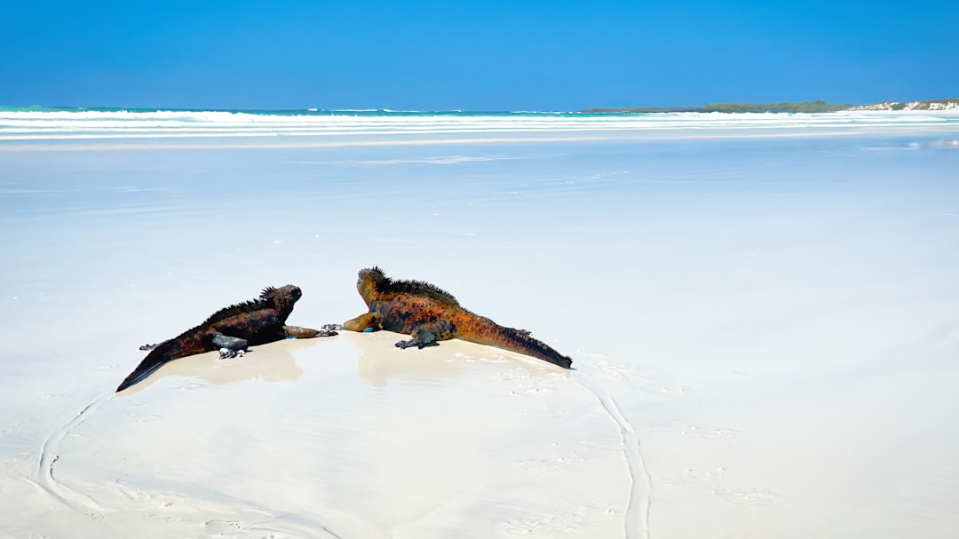 Panorami straordinari di Puerto Ayora: Un tesoro dell'Ecuador - Puerto Ayora | Secret World Trip Planner