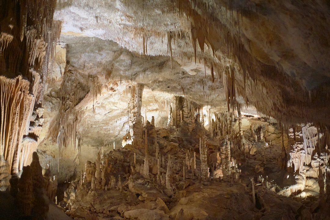 Le incantevoli Cuevas del Drach: un viaggio sotterraneo - 07680 Porto Cristo | Secret World Trip Planner