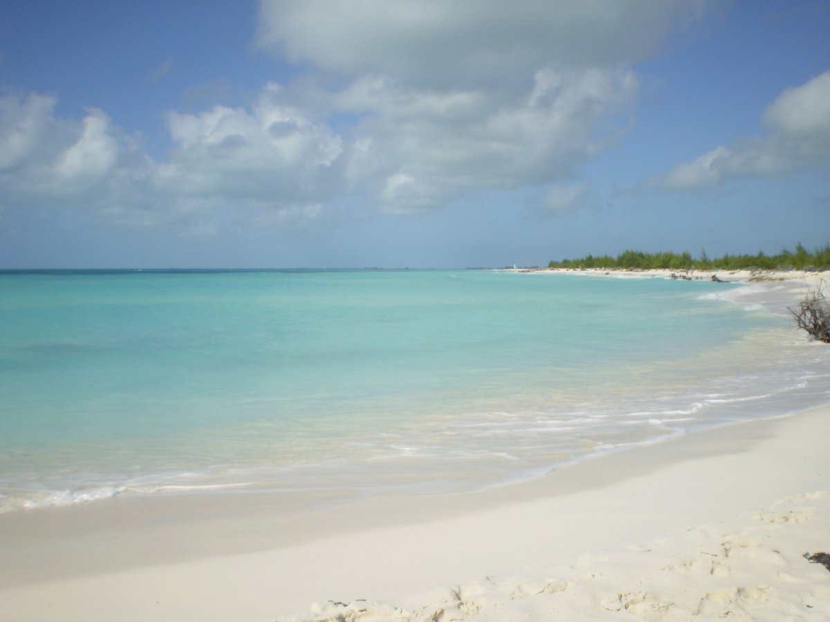 Discover Playa Paraiso: The Dream Beach in Cayo Largo - Cayo Largo | Secret World Trip Planner