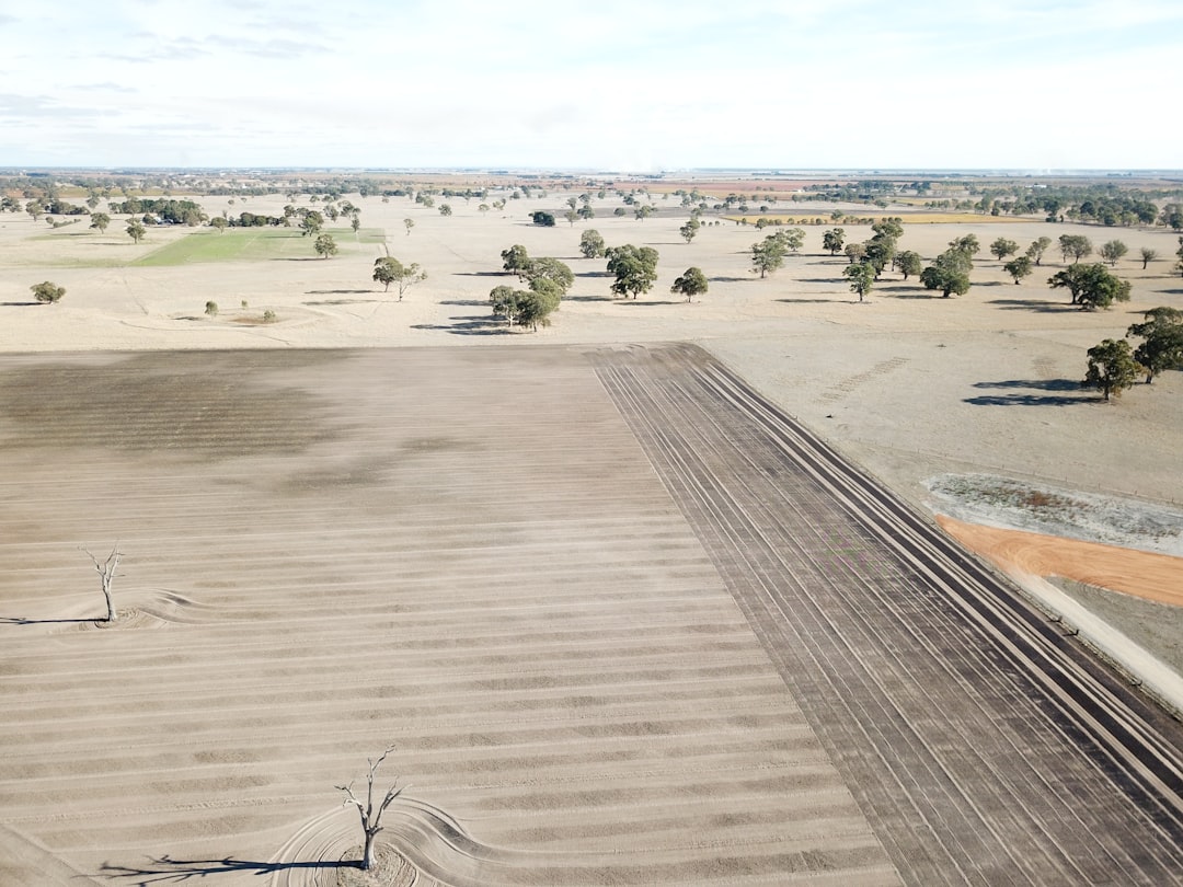 Coonawarra: Il Paradiso del Cabernet Sauvignon - Coonawarra SA 5263 | Secret World Trip Planner