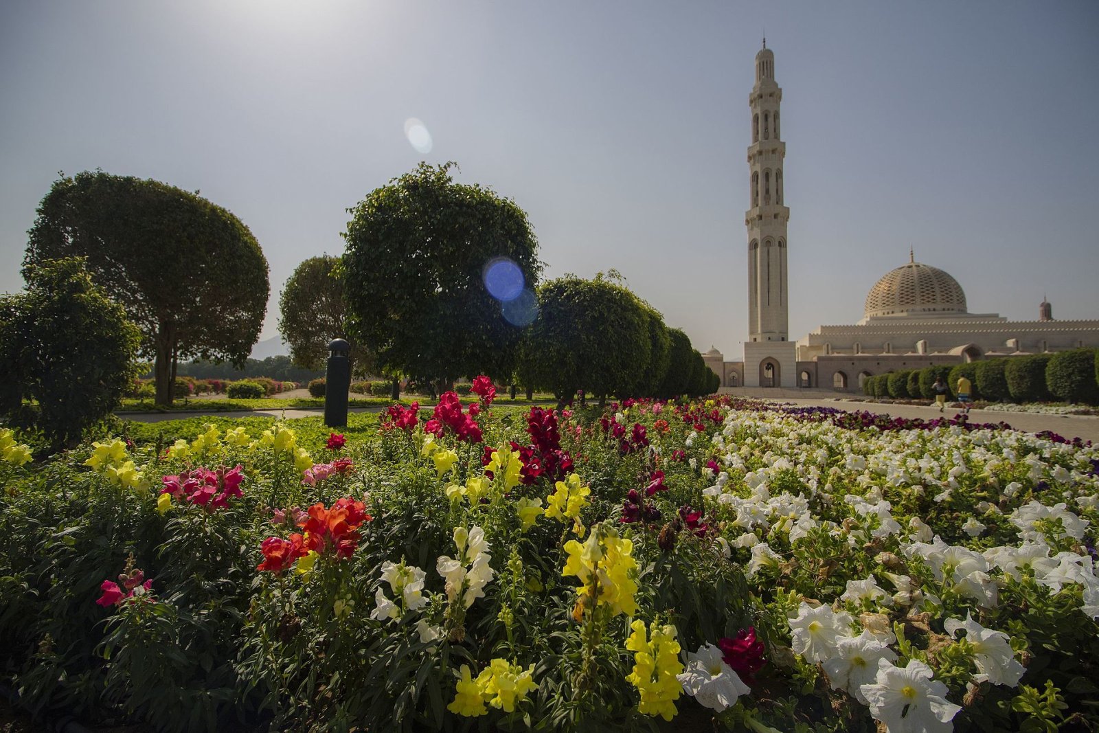 Scopri la Grande Moschea del Sultano Qaboos a Muscat - Muscat | Secret World Trip Planner