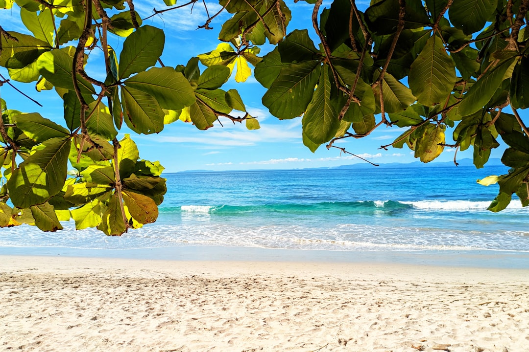 Playa Blanca erkunden: ein Naturparadies in Costa Rica - Herradura | Secret World Trip Planner