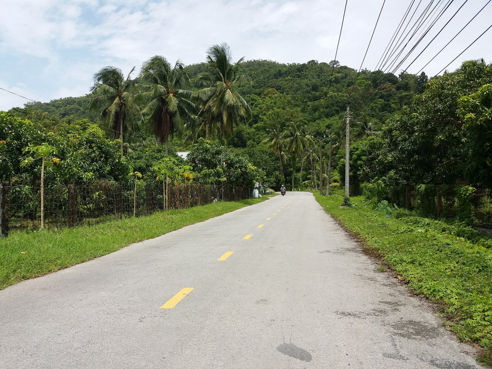Descubra Hòn Giang: um canto de natureza intocada no Vietnã — Hoai An