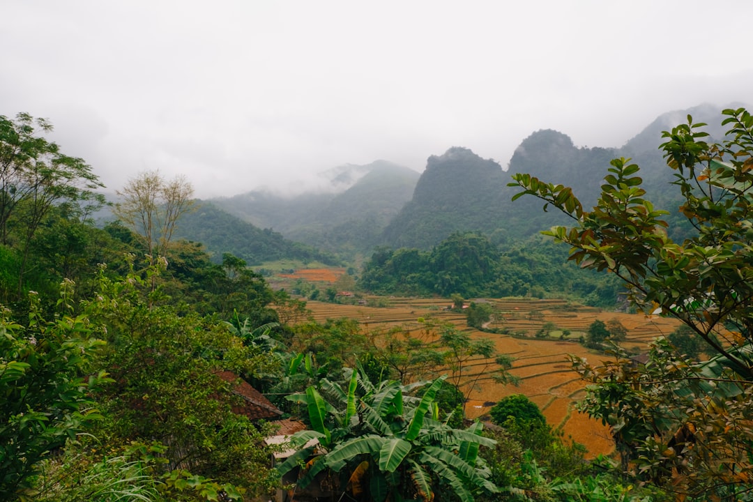 Scopri la bellezza di Phou Den Din, un paradiso naturale in Vietnam - Muong Nhe | Secret World Trip Planner