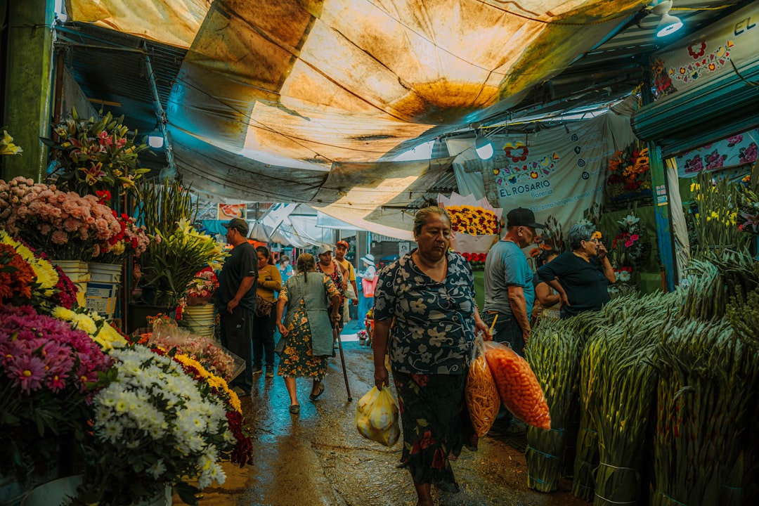 Descubre el Mercado de Artesanías La Ciudadela en CDMX - 06040 Ciudad de México | Secret World Trip Planner