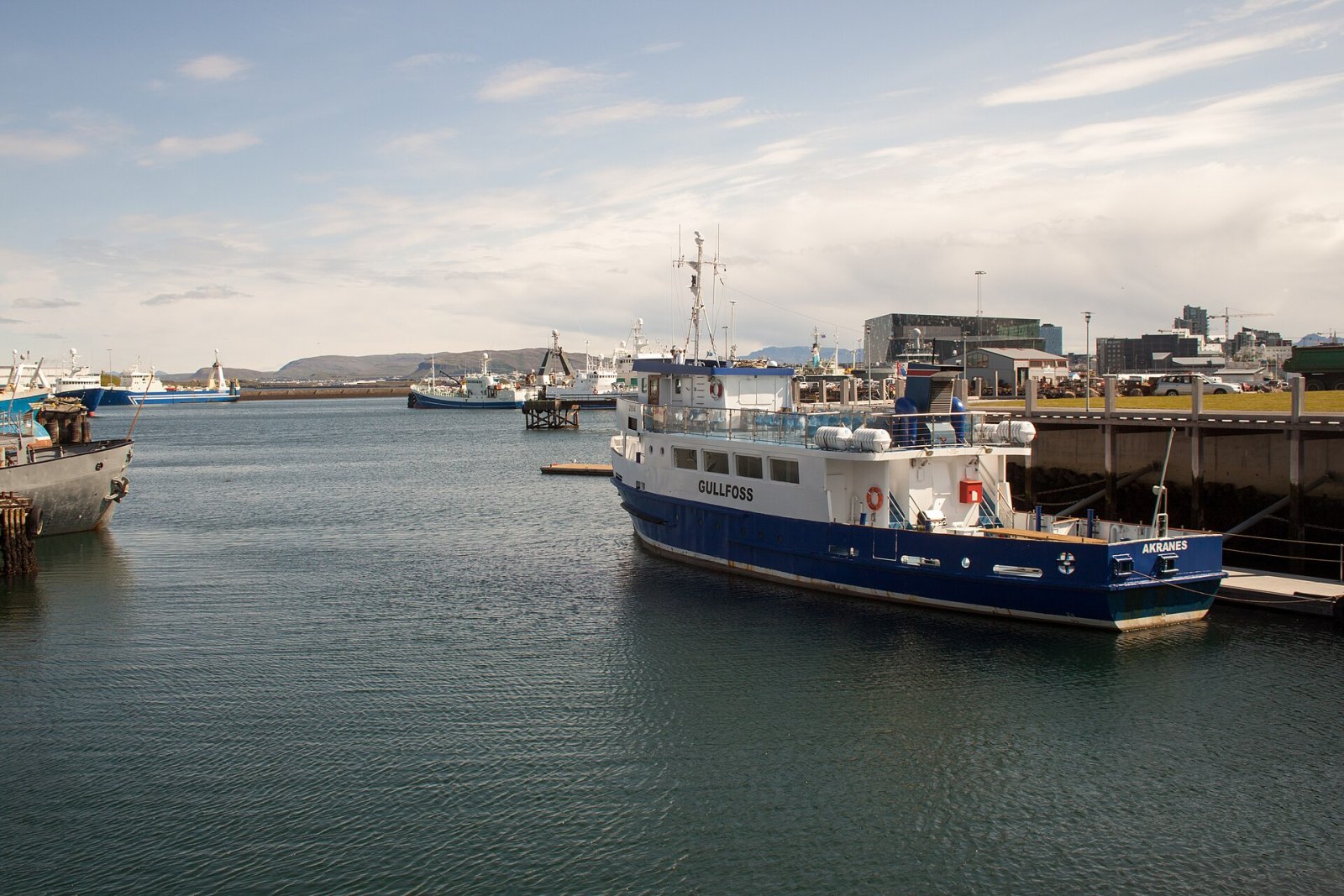 发现维金：雷克雅未克的体育心脏 - Reykjavík | Secret World Trip Planner