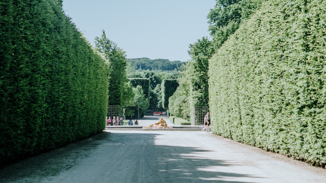 Jardins da Realeza de Versalhes: Um Paraíso Verde - Place d'Armes | Secret World Trip Planner