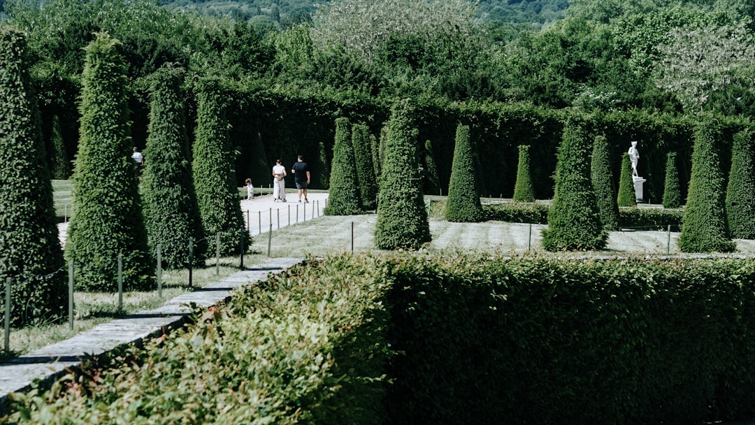 Сады Версальского дворца: зеленый рай - Place d'Armes | Secret World Trip Planner