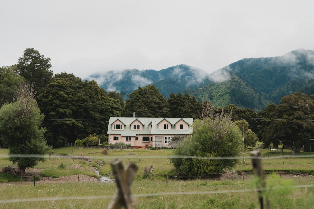 Discover the Nelson Provincial Museum: a Cultural Treasure in New Zealand - Nelson | Secret World Trip Planner