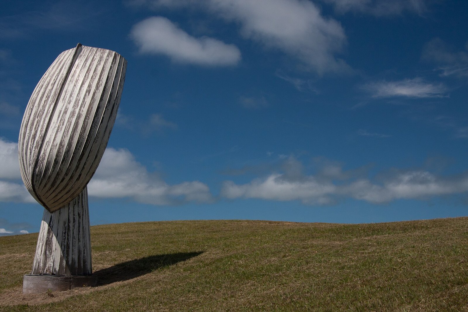 Scopri Flotsam: il videogioco che trasforma la cultura neozelandese - Waiheke Island | Secret World Trip Planner