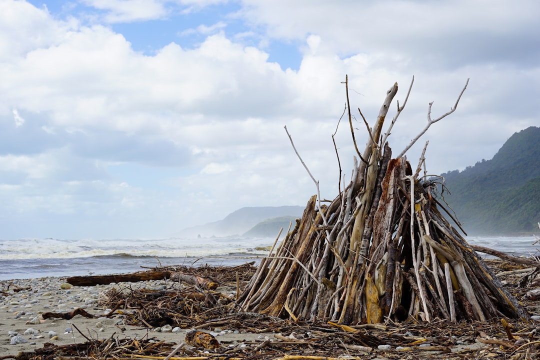 Scopri Flotsam: il videogioco che trasforma la cultura neozelandese - Waiheke Island | Secret World Trip Planner