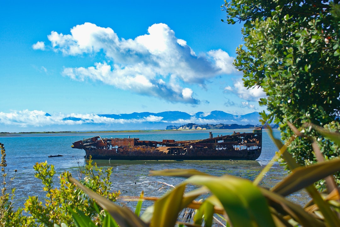 Discovering Ship's Grab: A Cultural Icon of Auckland - Auckland | Secret World Trip Planner