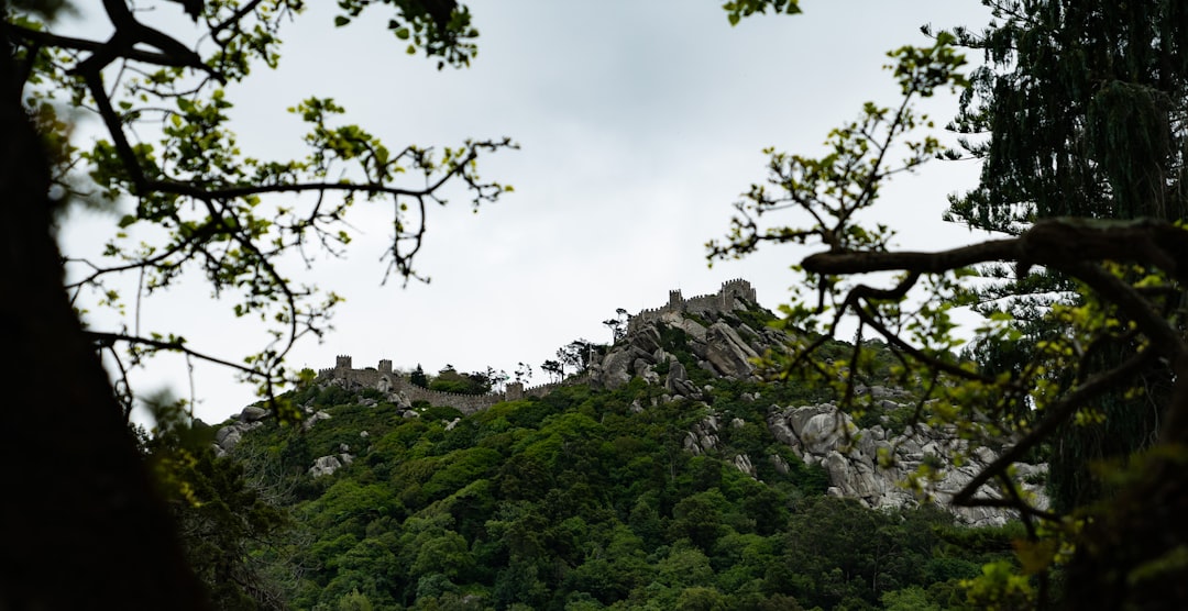 Exploring the Castle of the Moors: A Hidden Gem in Sintra - 2710-405 Sintra | Secret World Trip Planner