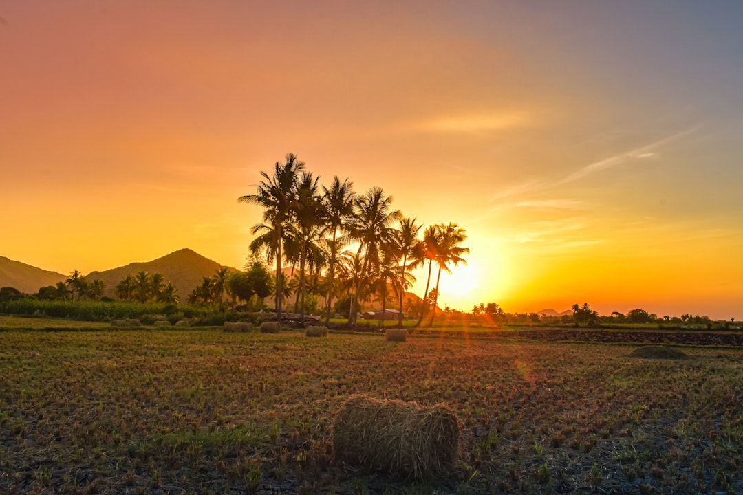 Couchers de soleil époustouflants à Sunrise Land Lombok - East Lombok Regency | Secret World Trip Planner
