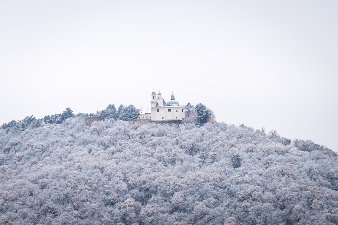 Wanderlog Alternatives 2026: Le Migliori Scelte per Vienna — Vienna