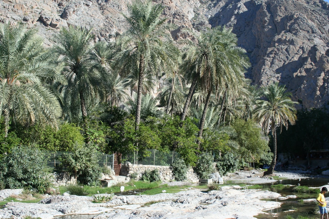 Wadi Bani Khalid: le piscine naturali dell'Oman orientale - Wadi Bani Khalid | Secret World Trip Planner