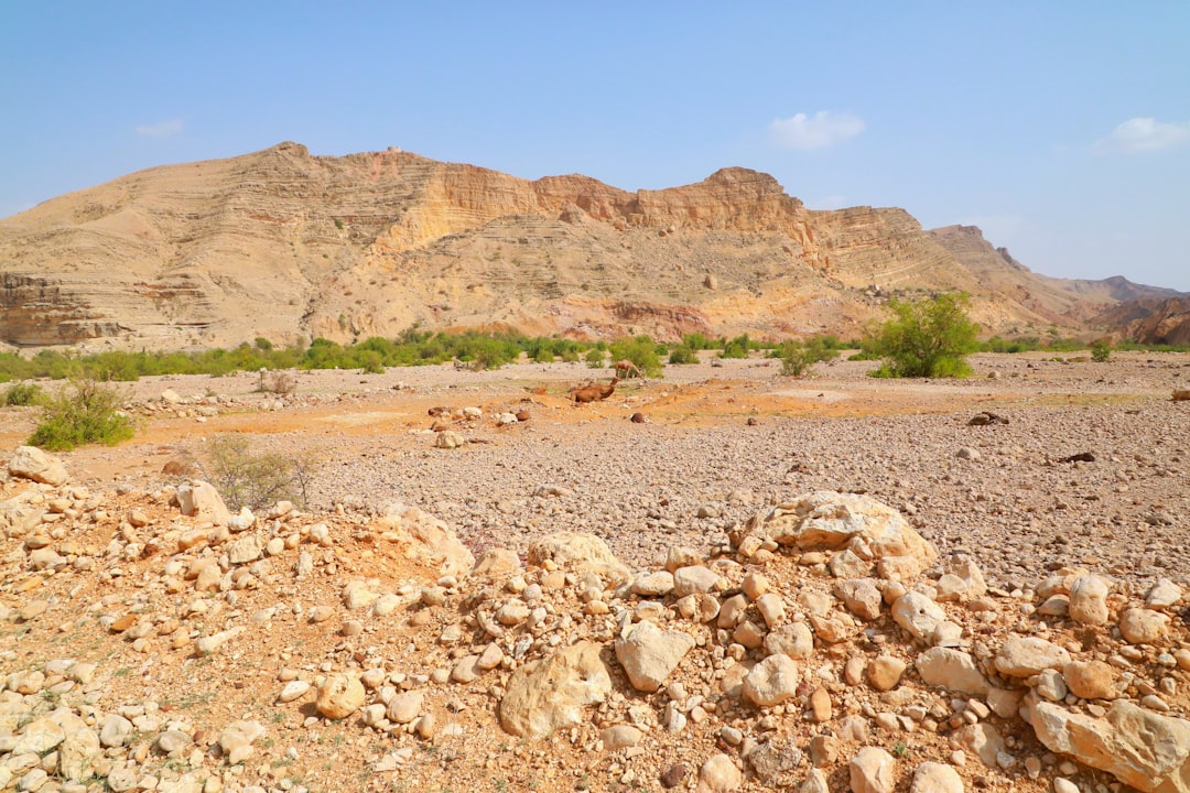 Wadi Bani Khalid: as piscinas naturais do Omã - Wadi Bani Khalid | Secret World Trip Planner