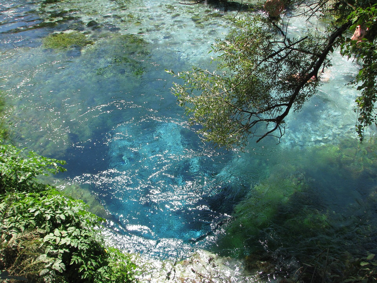 Discover Blue Summer: a Cultural Gem in Tirana - Tiranë | Secret World Trip Planner