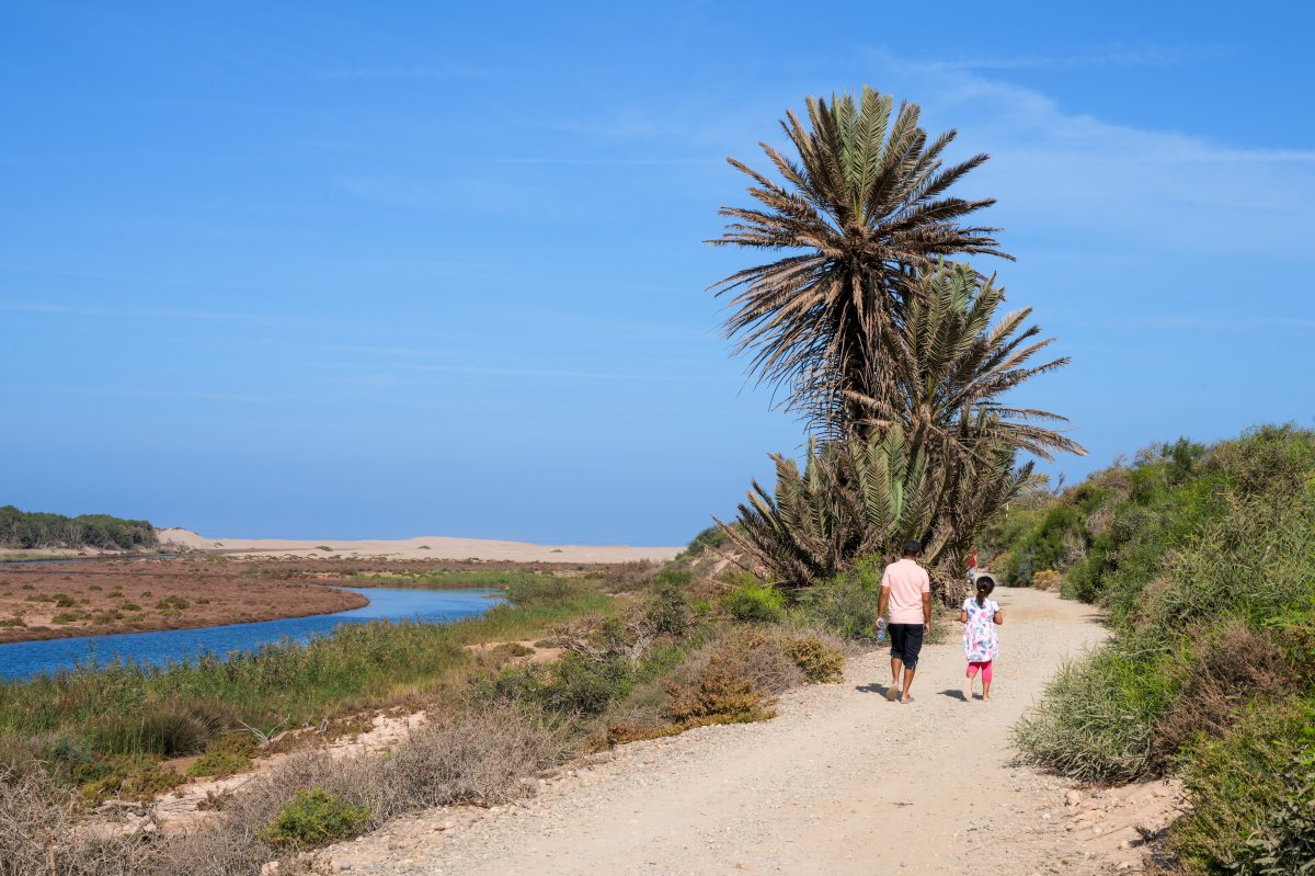 Parco Nazionale Souss Massa: natura selvaggia in Marocco — Sidi Binzarne