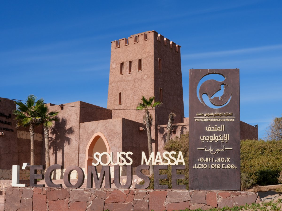 Parco Nazionale Souss Massa: natura selvaggia in Marocco - Sidi Binzarne | Secret World Trip Planner