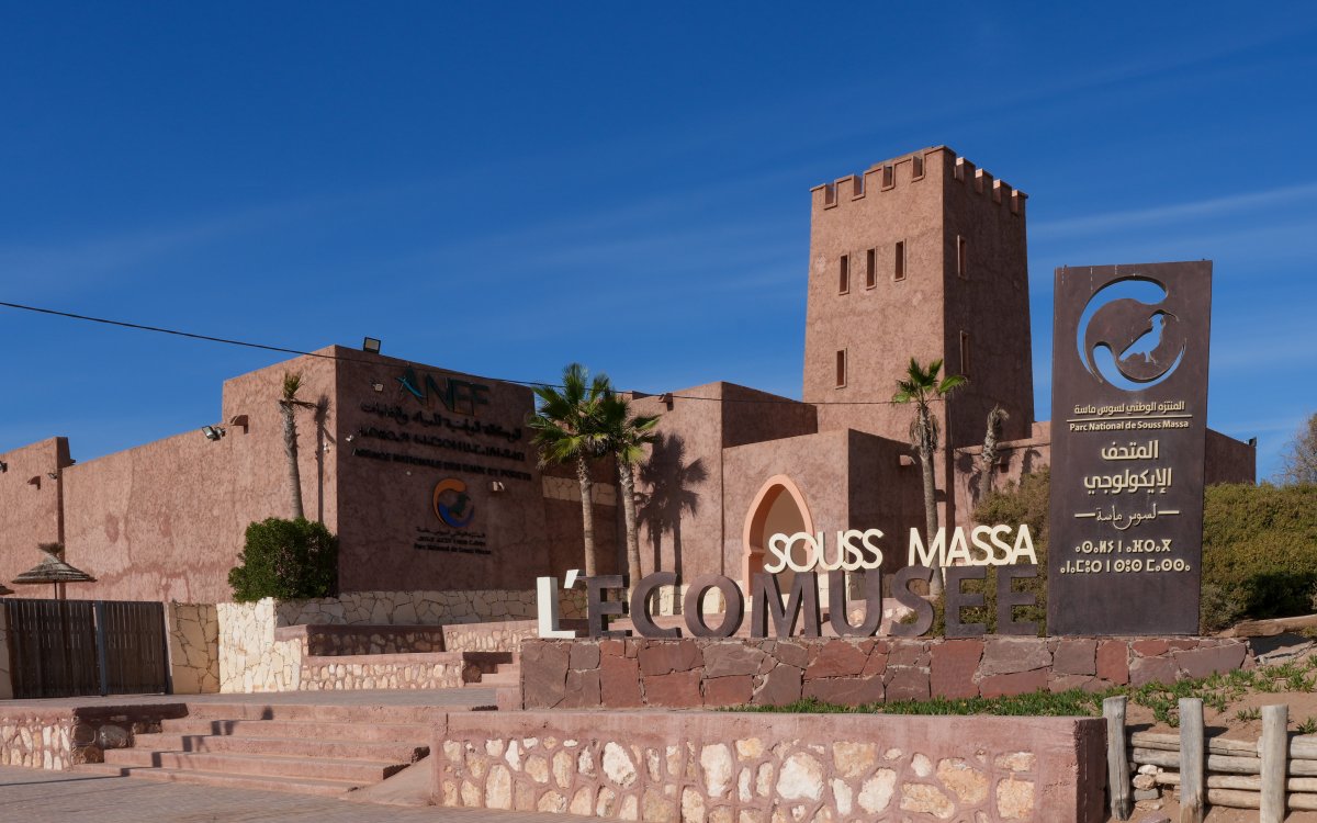 Parc National Souss Massa : nature sauvage au Maroc - Sidi Binzarne | Secret World Trip Planner