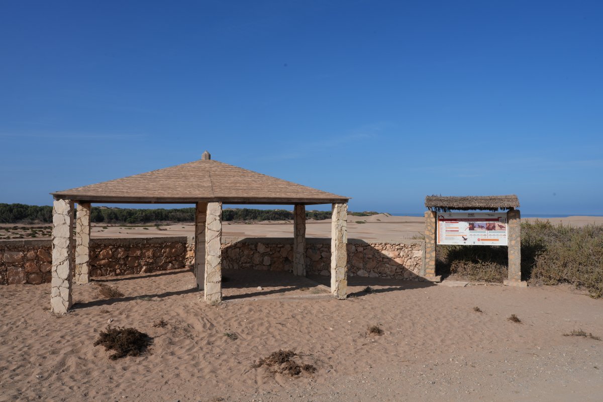 Parque Nacional Souss Massa: natureza selvagem no Marrocos - Sidi Binzarne | Secret World Trip Planner