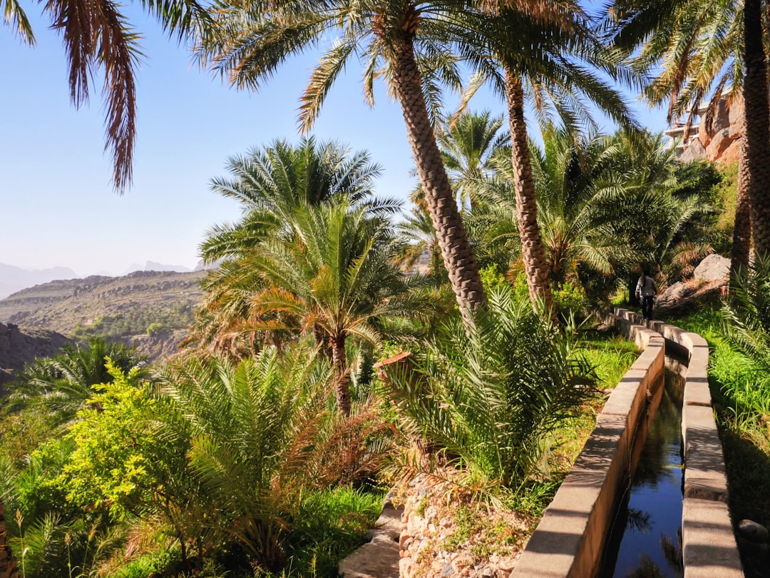 Misfah al Abriyyin: The Stunning Cliff Village of Oman - Misfah al Abriyyin | Secret World Trip Planner