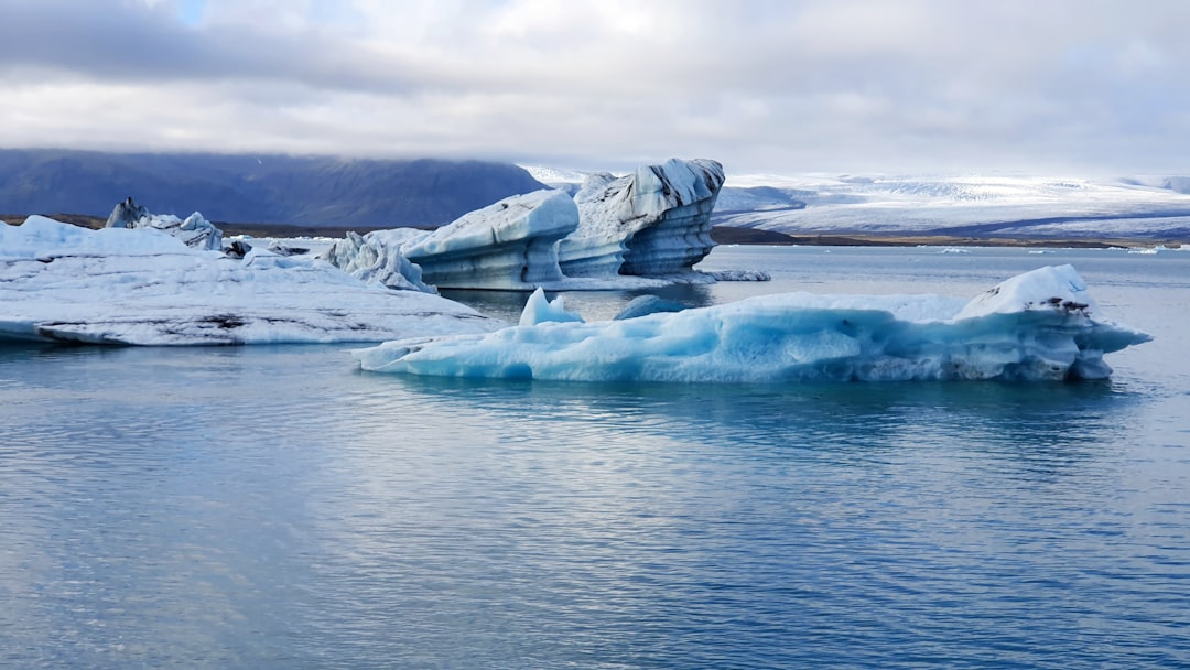 冰岛冰川湖：冰山与冰雪中的野生动物 - Jökulsárlón | Secret World Trip Planner