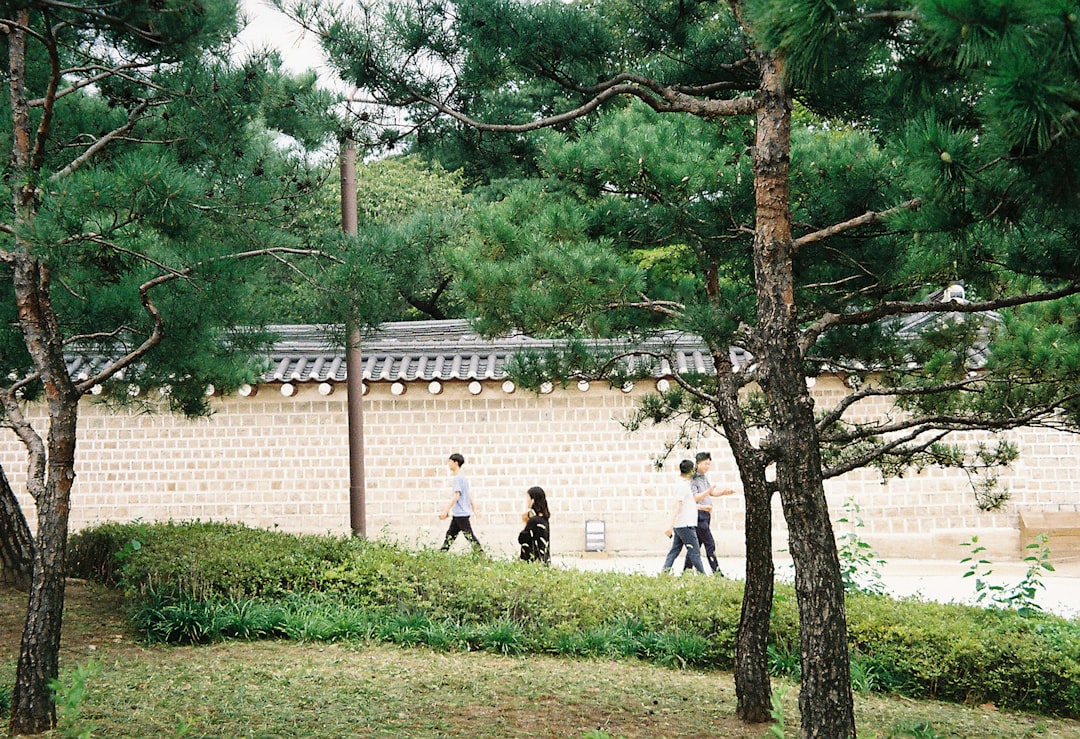 Descubre el Museo Abraham Park Kenneth Vine en Seúl — Guro District