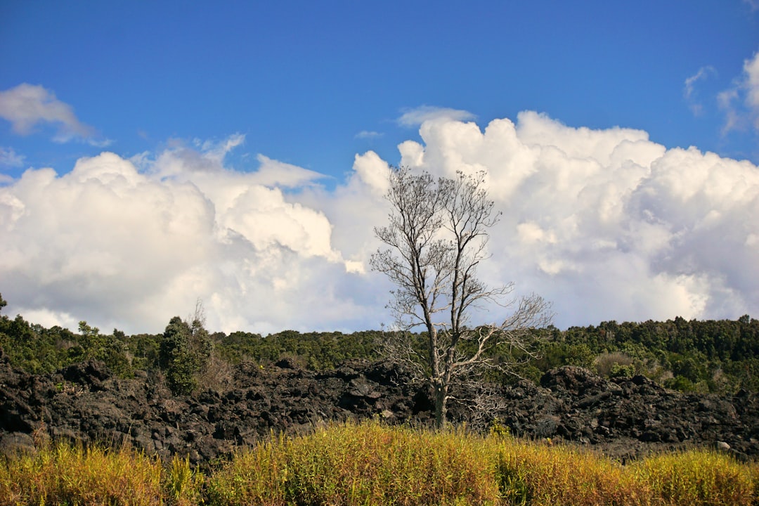 Volcanoes National Park: trekking tra i gorilla del Ruanda - NM 222 Street | Secret World Trip Planner