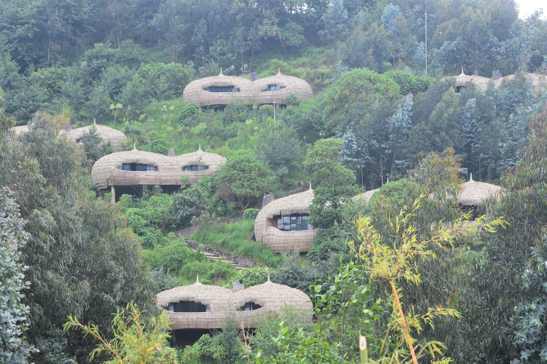 Volcanoes National Park: Trekking with Rwanda's Gorillas - NM 222 Street | Secret World Trip Planner