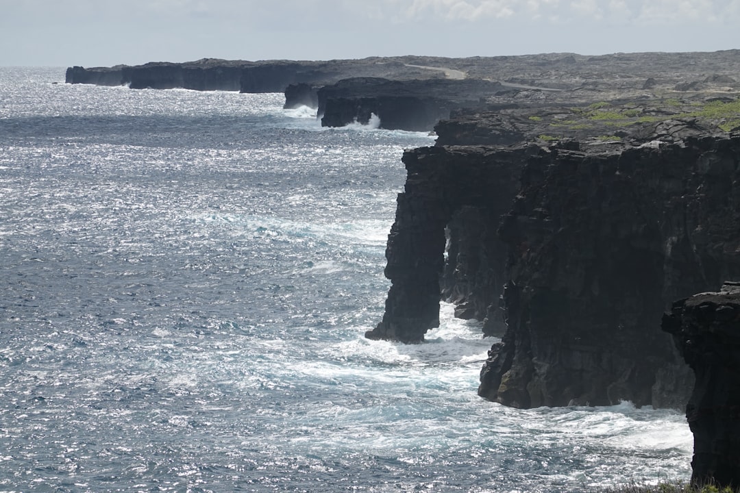 Parc National des Volcans : trekking avec les gorilles - NM 222 Street | Secret World Trip Planner