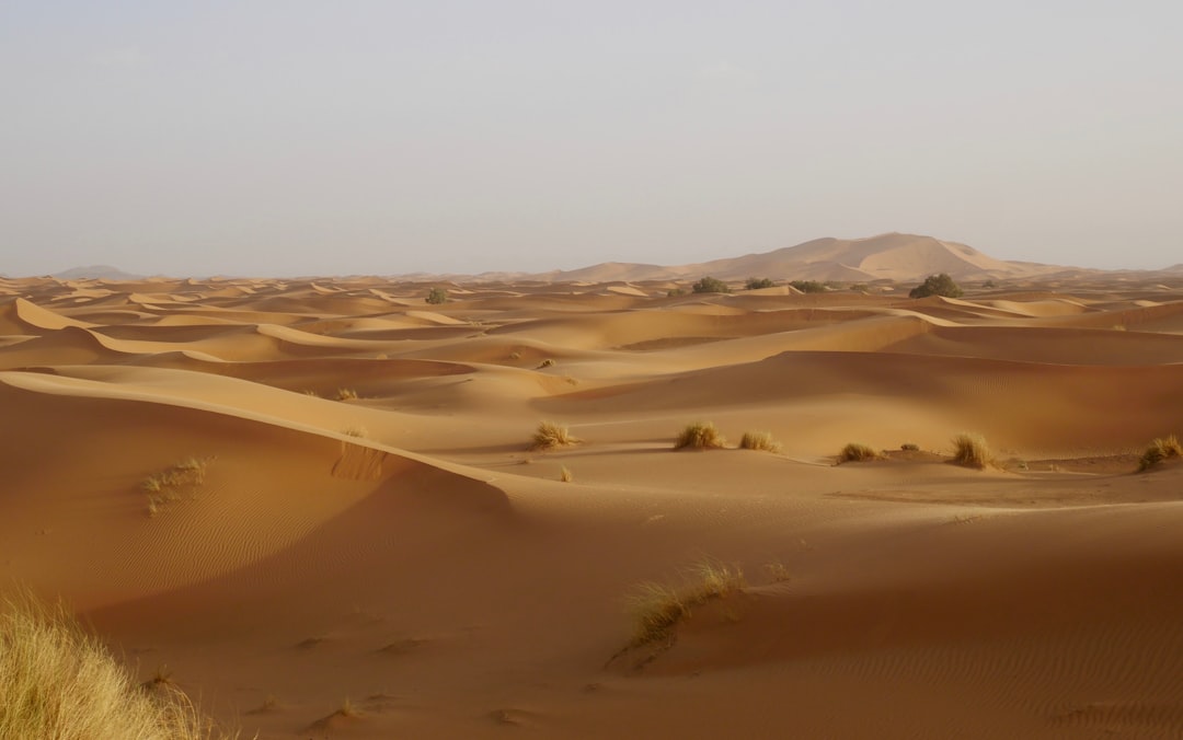 Erg Chebbi: le dune arancioni del Sahara marocchino - 423P+F6 | Secret World Trip Planner