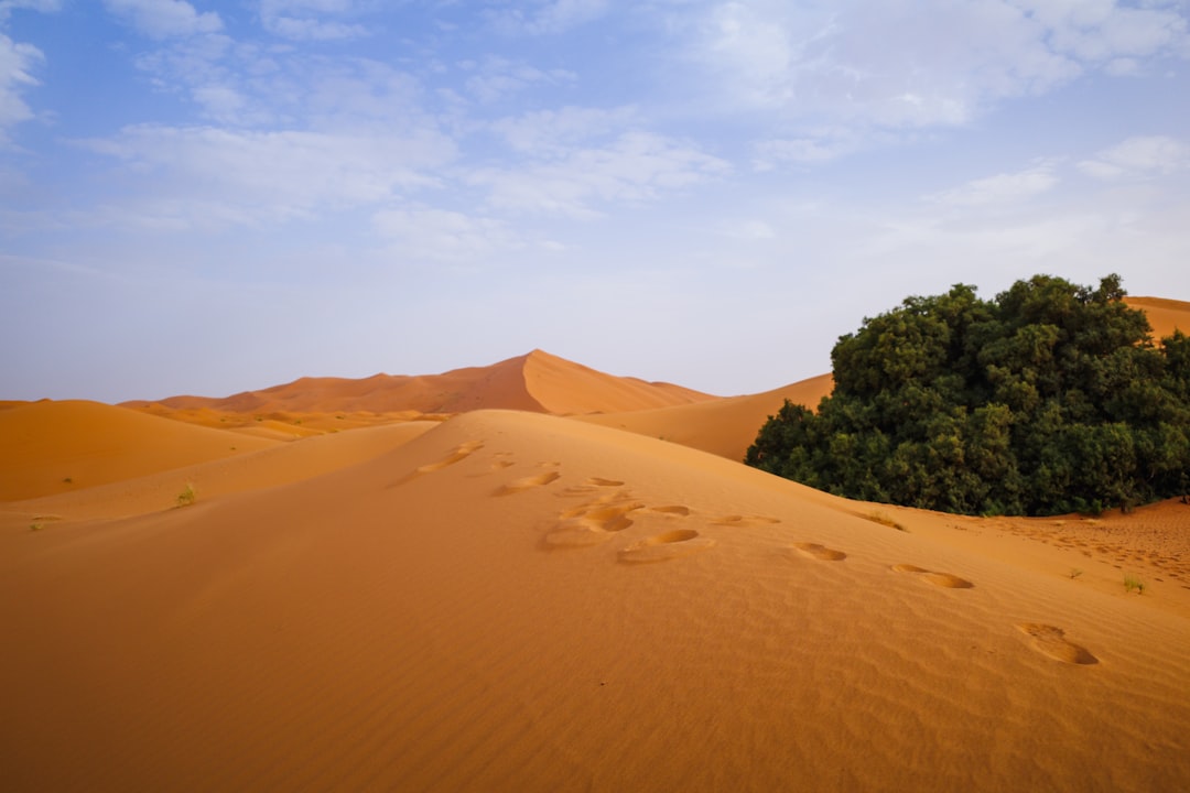Erg Chebbi: The Orange Dunes of the Moroccan Sahara - 423P+F6 | Secret World Trip Planner