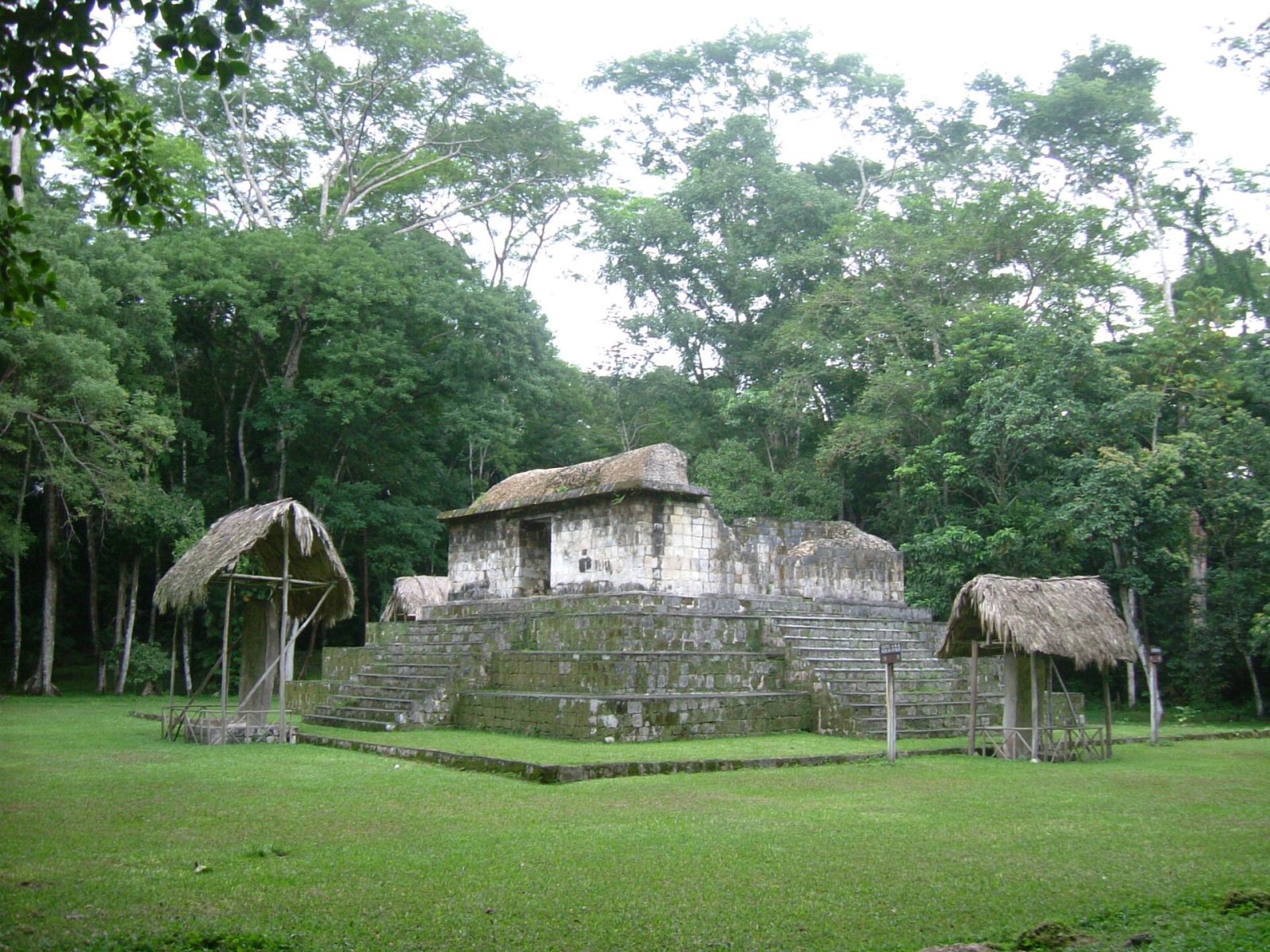 El Ceibal: Eine Reise in die Geschichte Guatemalas — Seibal