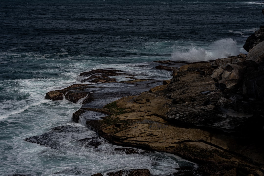 Best Travel Apps 2026: Top 5 Picks for Sydney - Sydney | Secret World Trip Planner