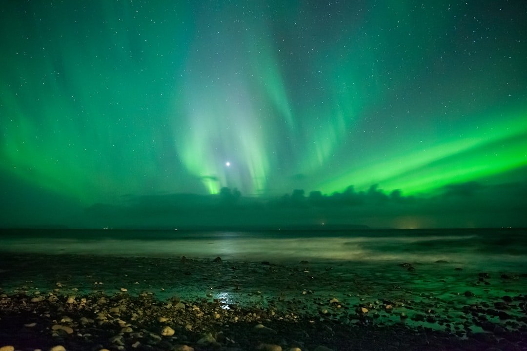 Descubra Vatnsnes: um canto selvagem da Islândia - Keflavík | Secret World Trip Planner