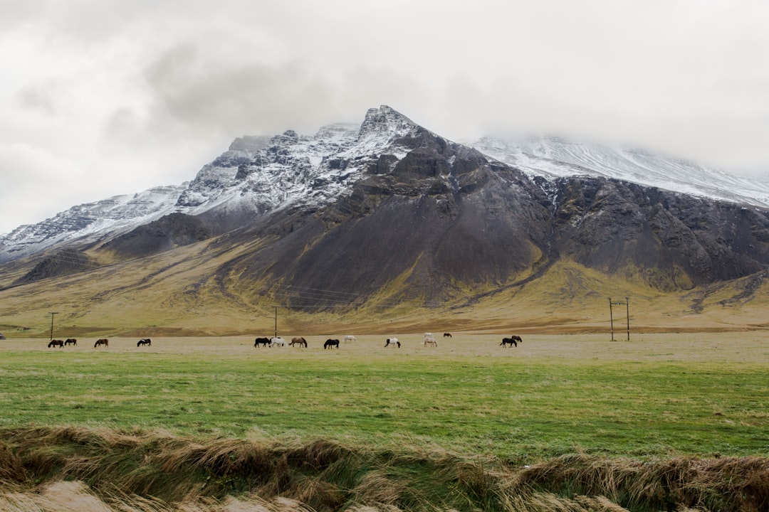 Höskuldsey: Un gioiello naturale in Islanda da scoprire | Secret World Trip Planner