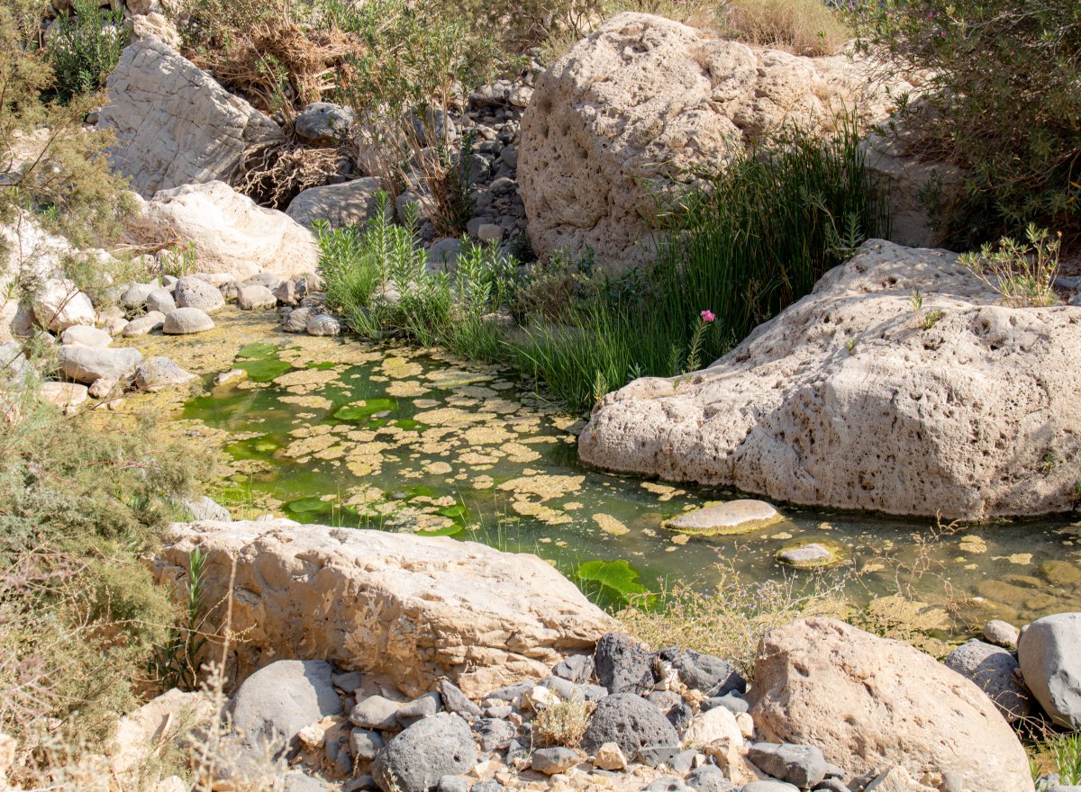 Wadi al Mujib: il canyon più profondo della Giordania — Wadi al Mujib