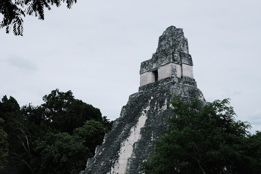 Тикаль: джунгли и пирамиды майя в Гватемале - Tikal | Secret World Trip Planner
