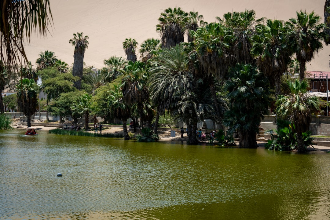 Huacachina: The Oasis in Peru's Ica Desert - Unnamed Road | Secret World Trip Planner