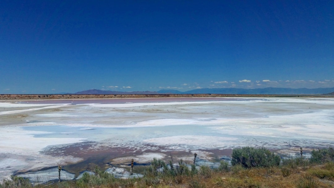 Saline Aguada Blanca: fauna selvatica ad alta quota - Reserva Nacional de Salinas y Aguada Blanca | Secret World Trip Planner
