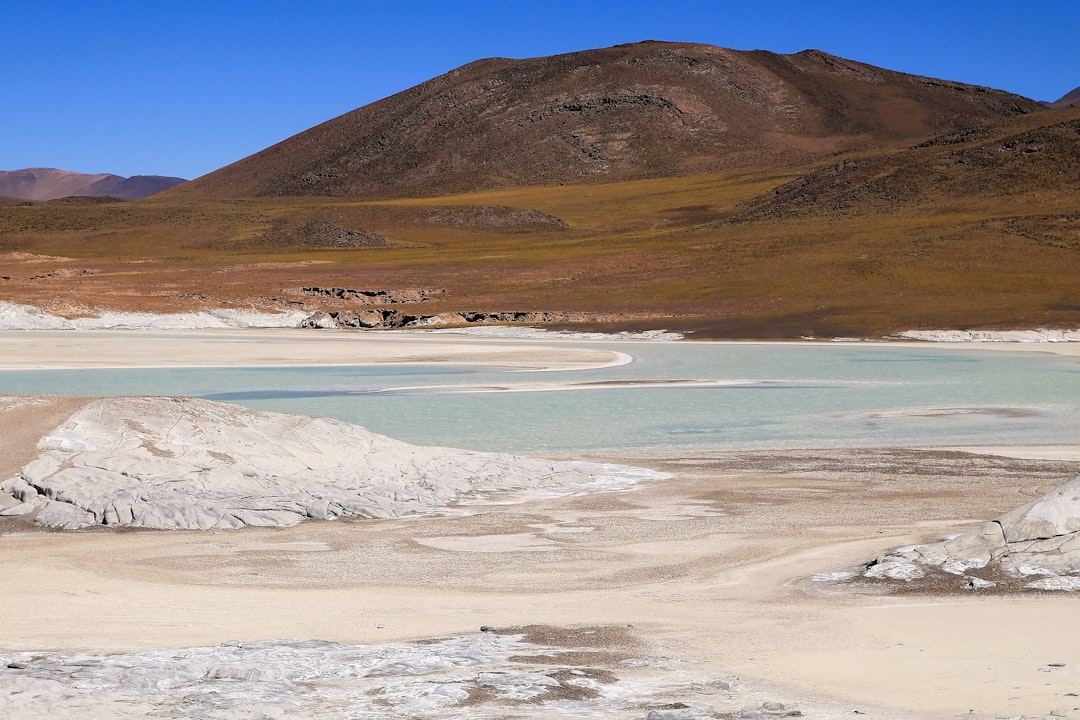 Saline Aguada Blanca: fauna selvatica ad alta quota - Reserva Nacional de Salinas y Aguada Blanca | Secret World Trip Planner