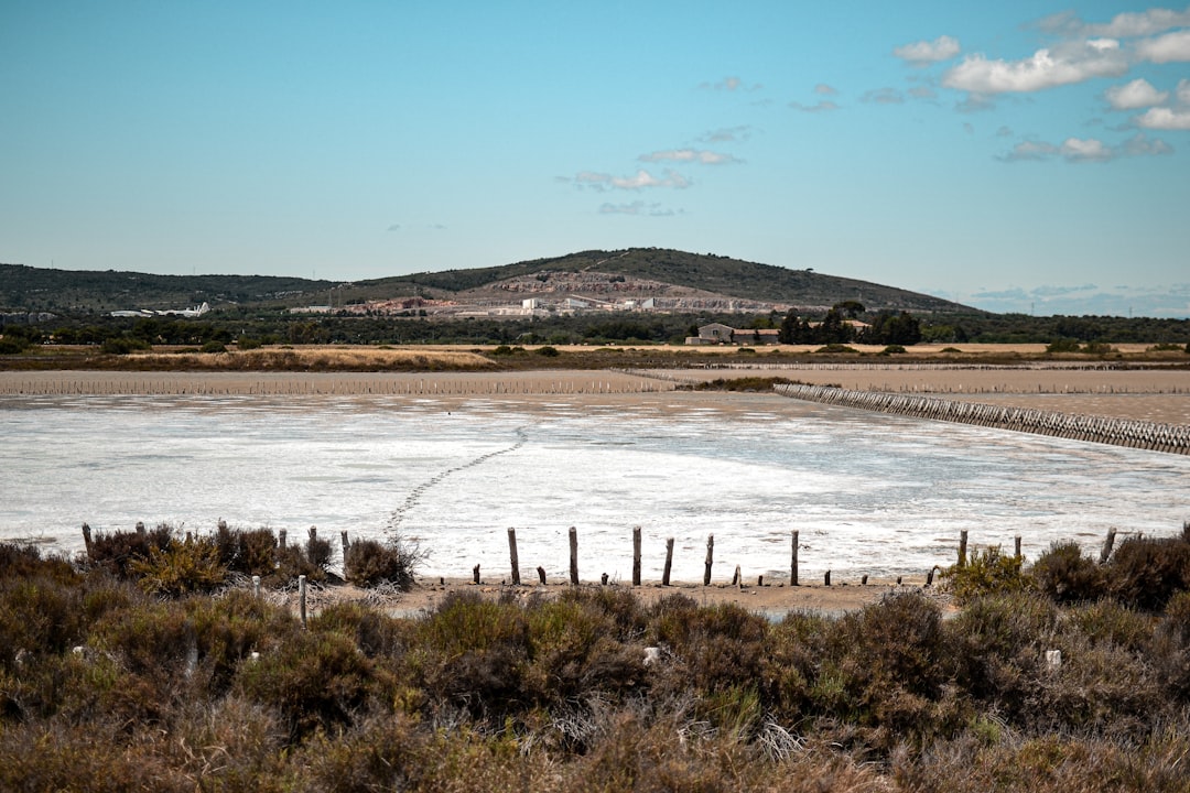 Saline Aguada Blanca: High-Altitude Wildlife Wonders - Reserva Nacional de Salinas y Aguada Blanca | Secret World Trip Planner