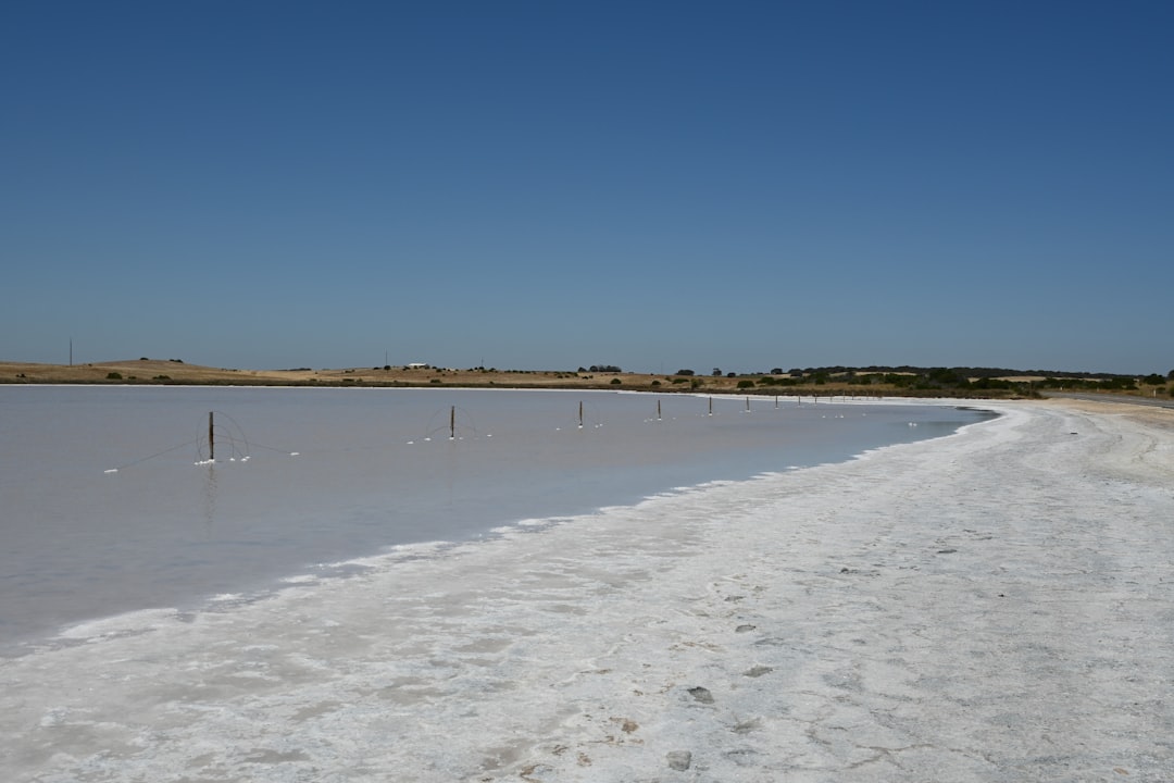 Saline Aguada Blanca : faune sauvage en altitude - Reserva Nacional de Salinas y Aguada Blanca | Secret World Trip Planner